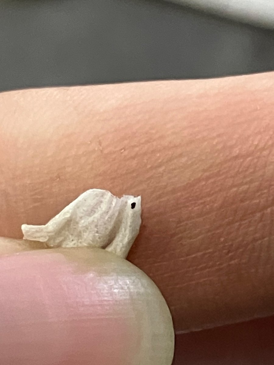 那珂乃つなよ＋ tweet media