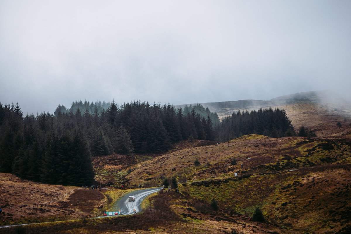 British Rally Championship tweet media
