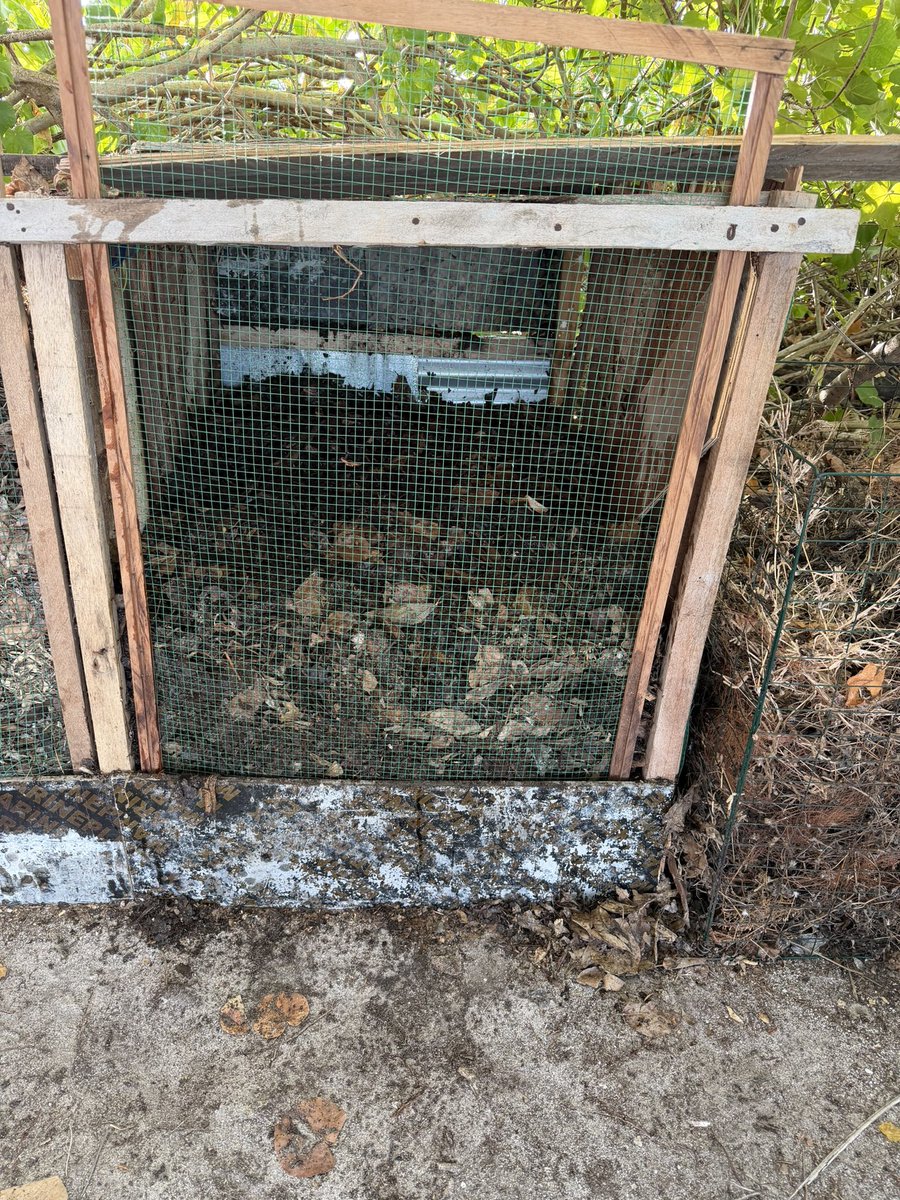 Sofwath 🎈 tweet media