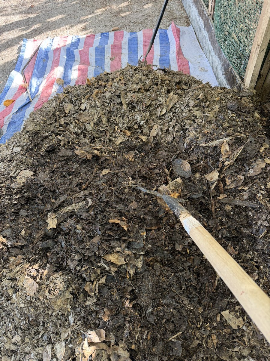 Sofwath 🎈 tweet media