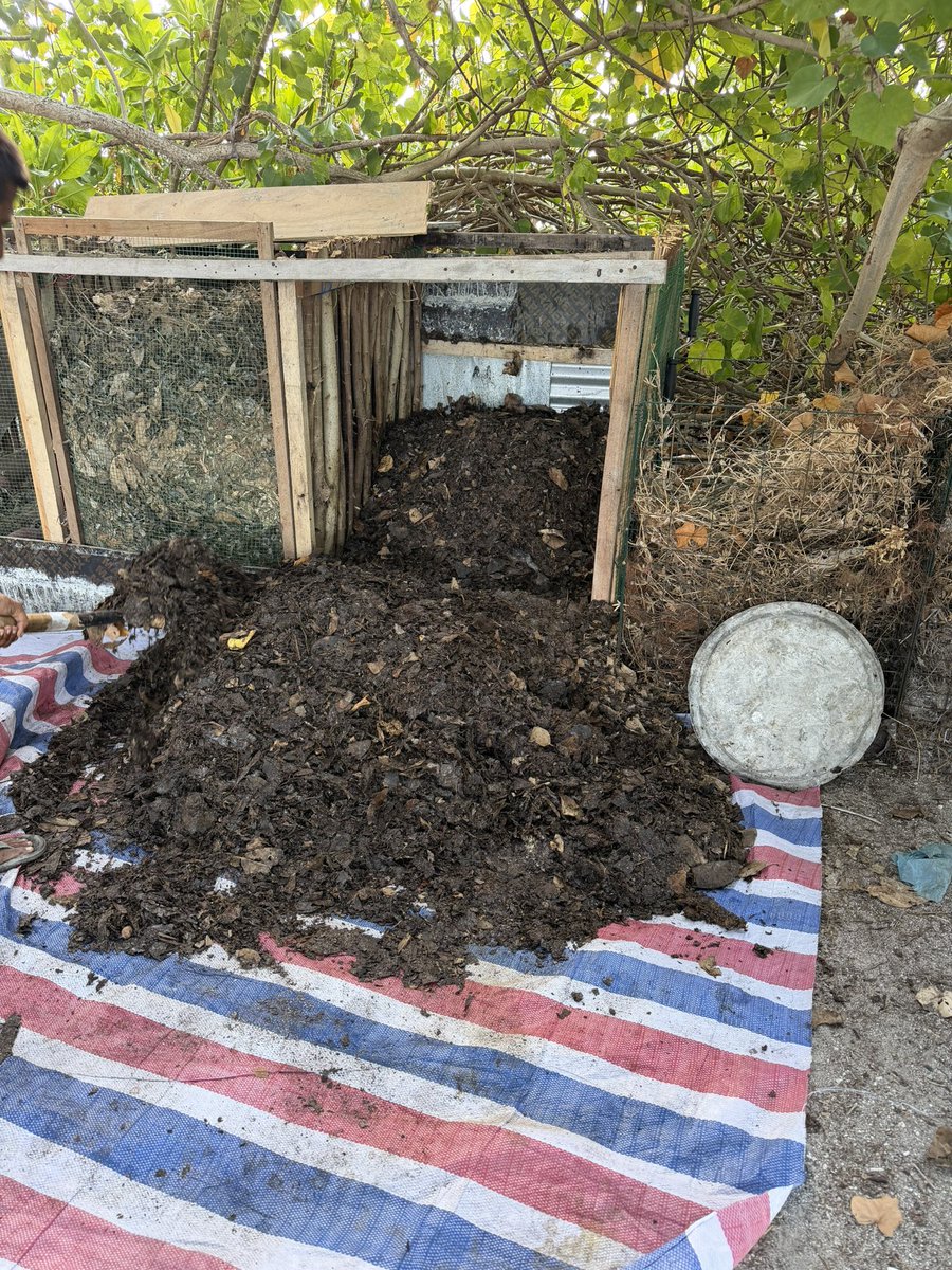 Sofwath 🎈 tweet media