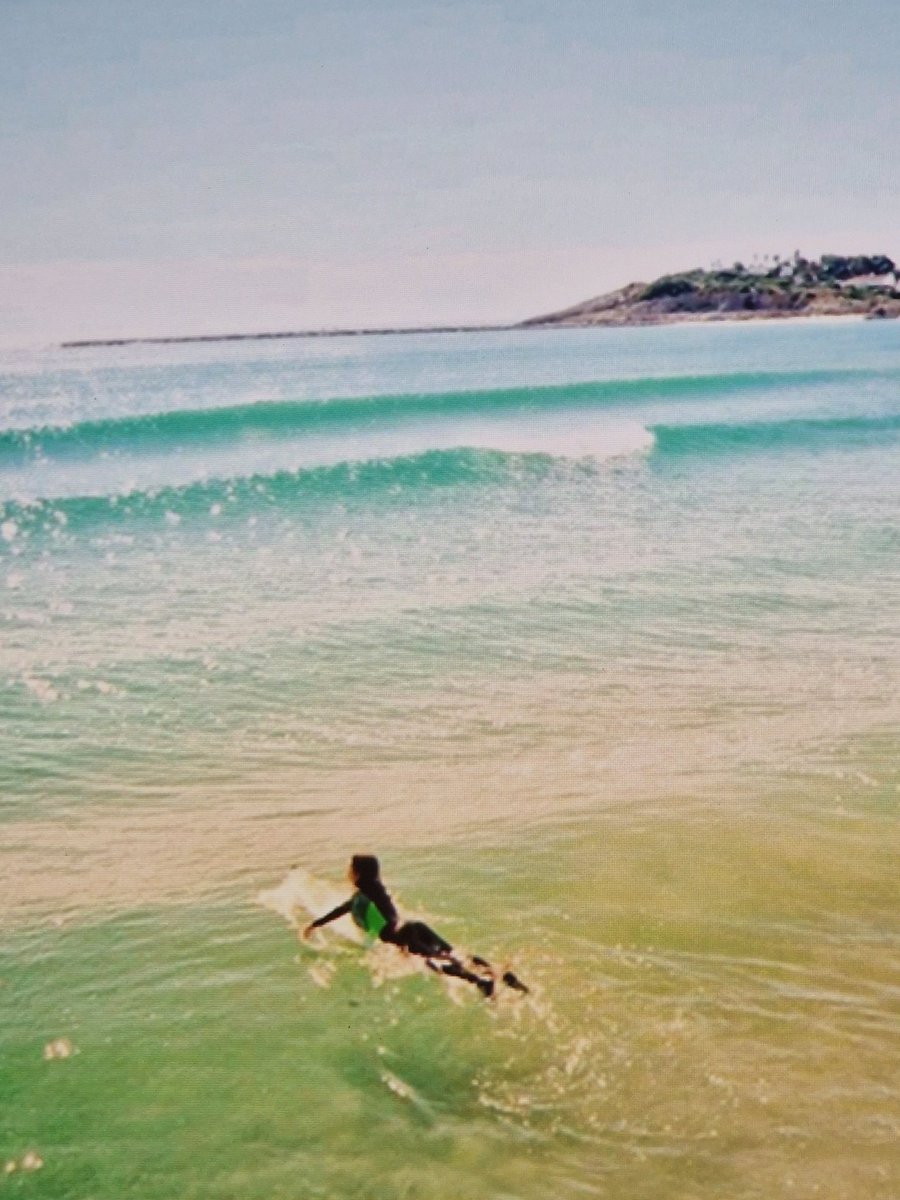 Marisol Garmendia tweet media