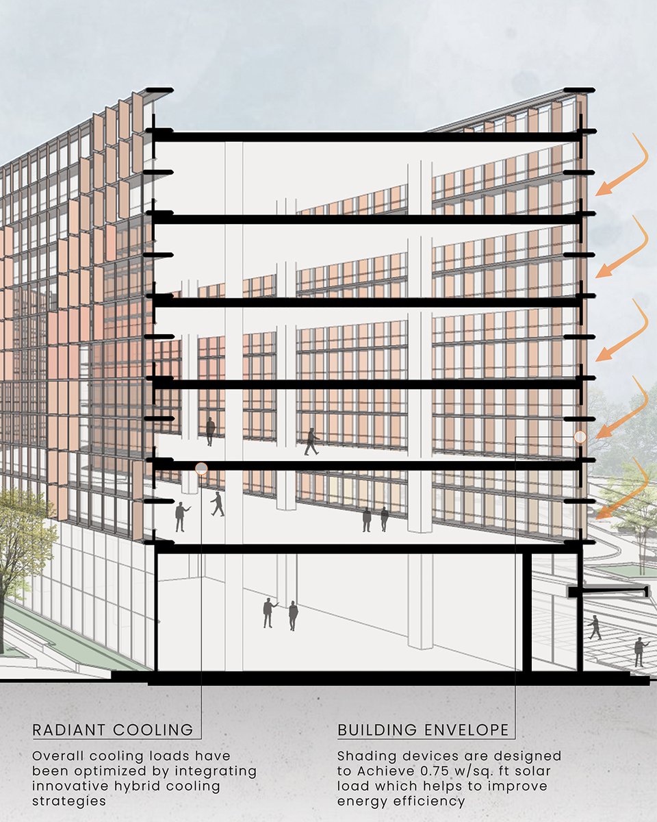 morphogenesis. tweet media