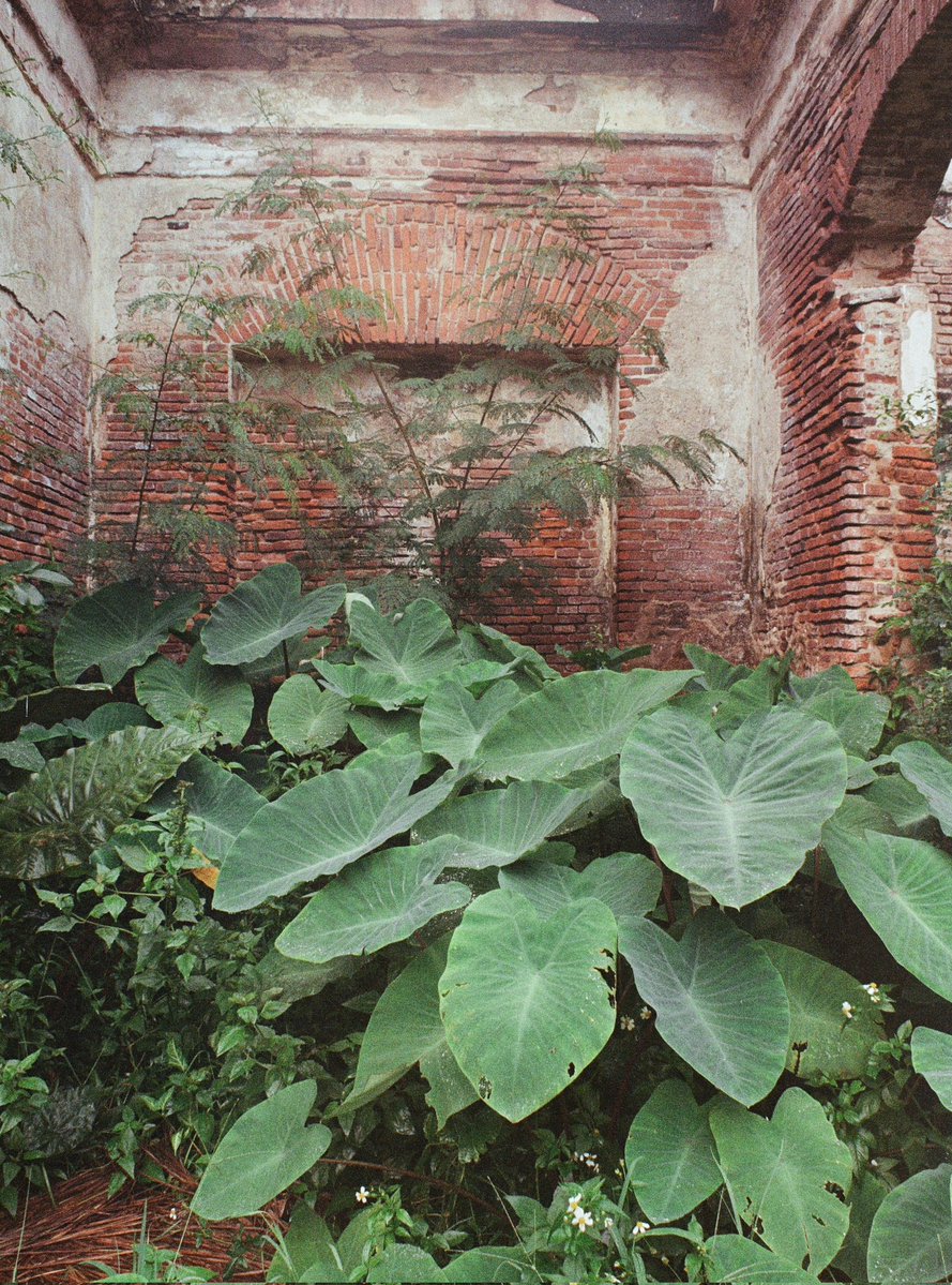 Koen de Boer tweet media