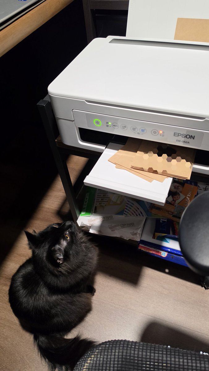 Coco@Omelas tweet media