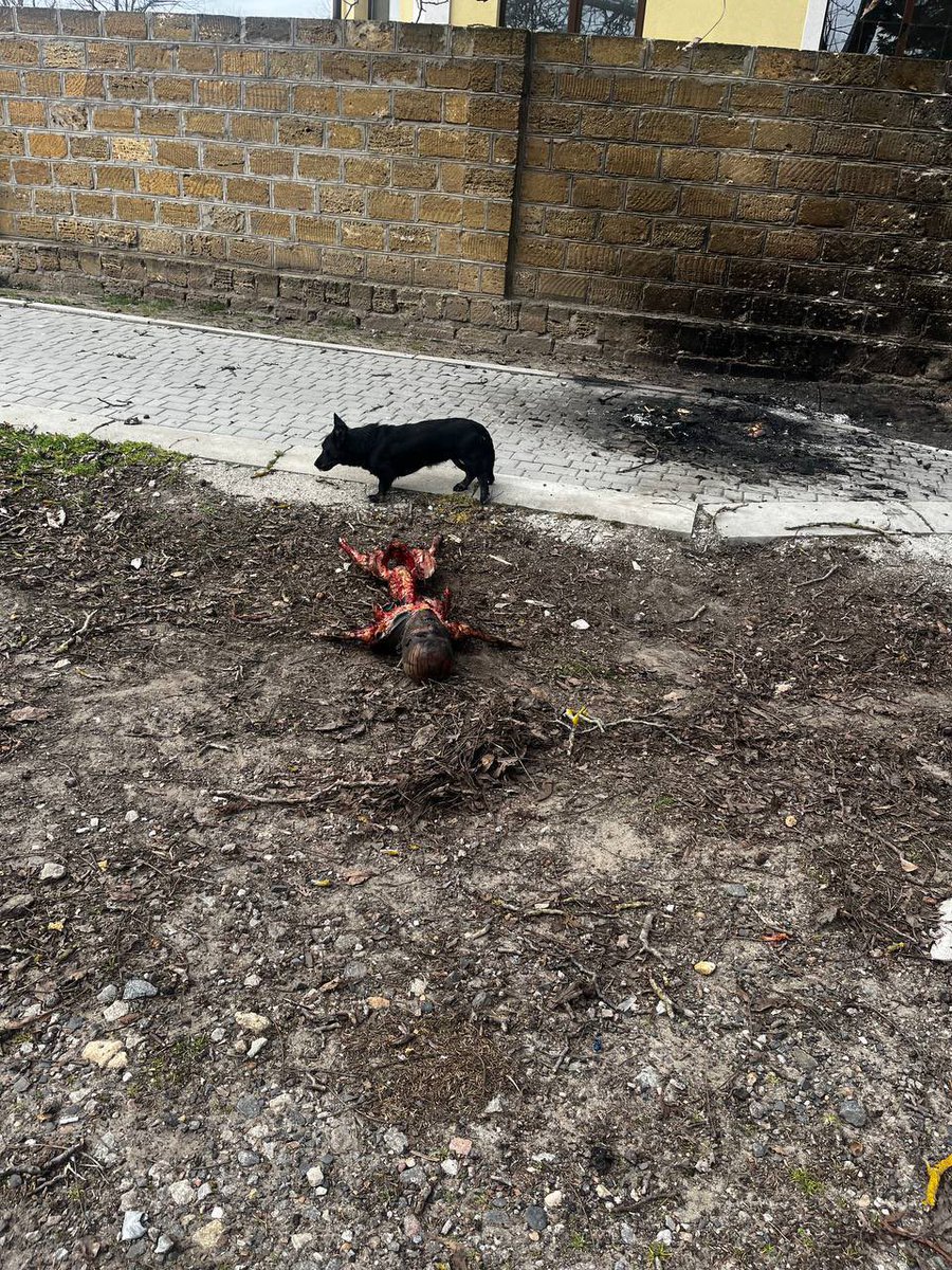 🚜Farmer🇺🇦UA tweet media