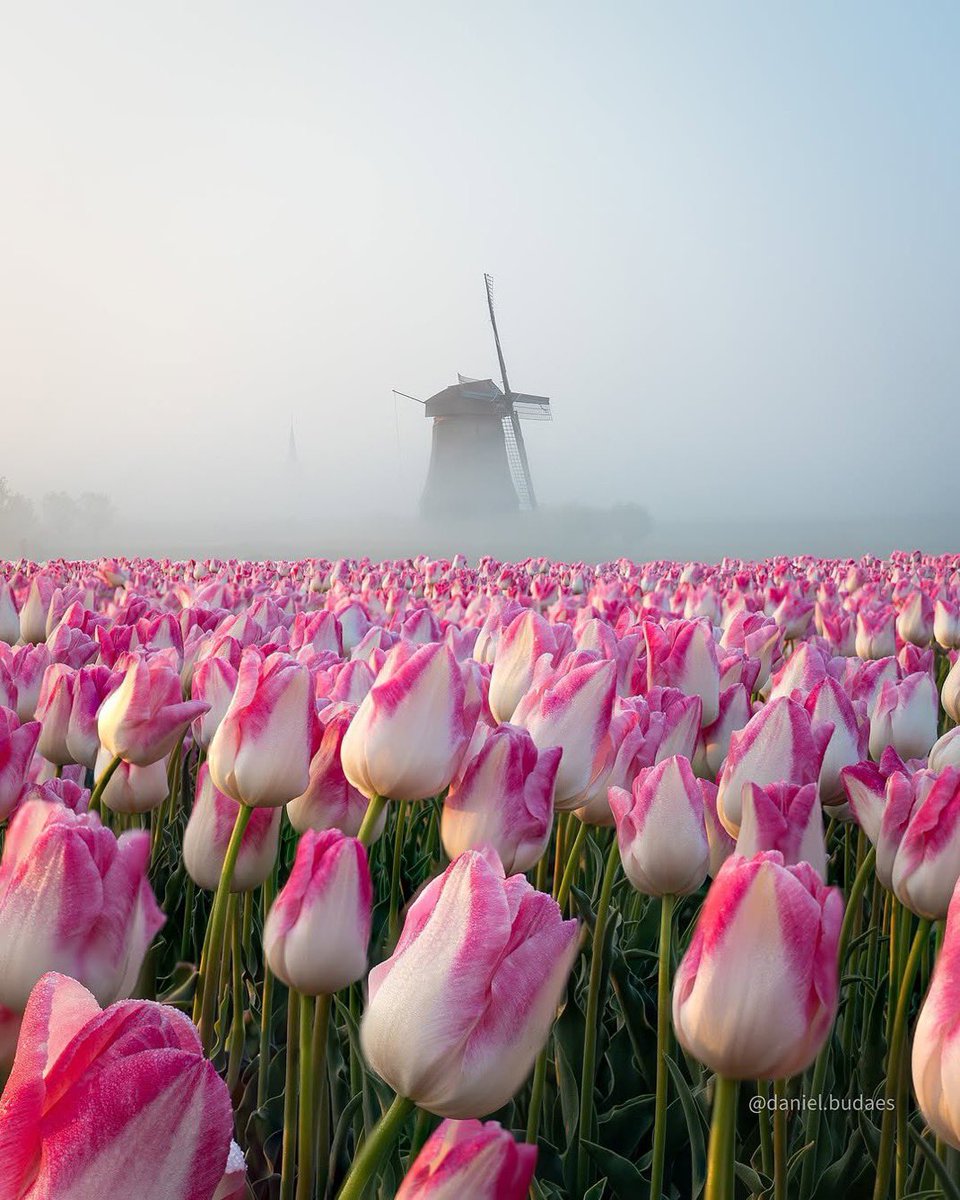 Jeanette tweet media