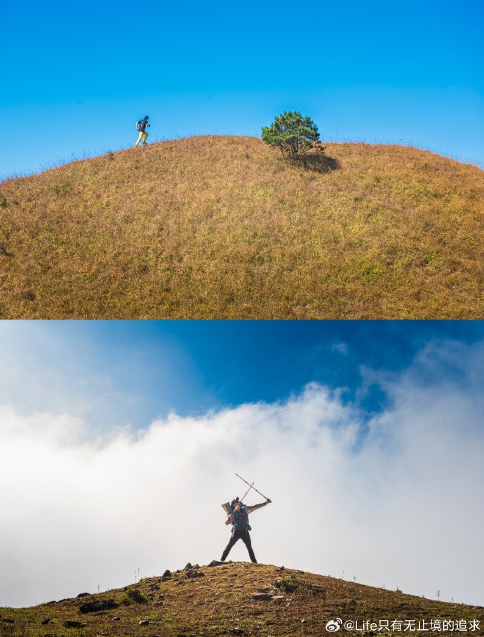 James frank tweet media