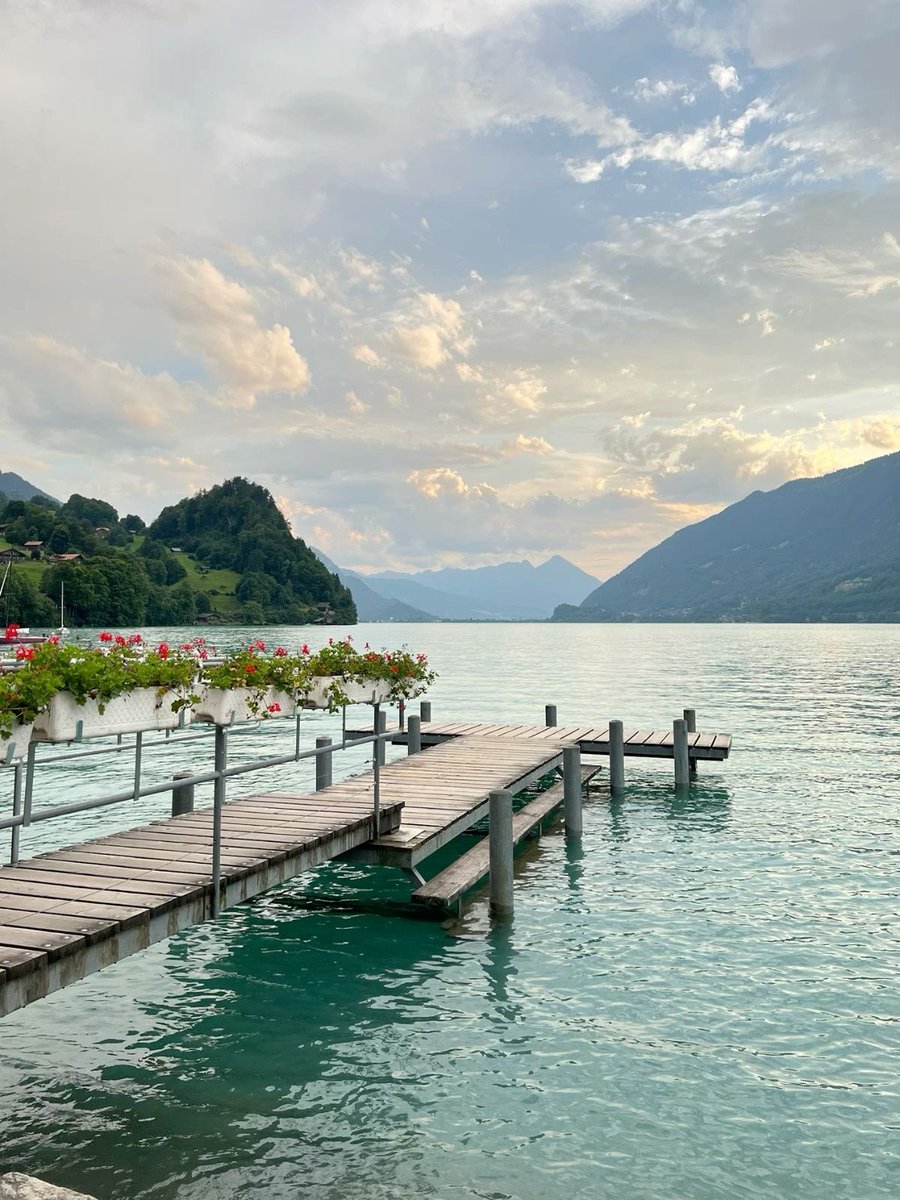 vistaaura tweet media