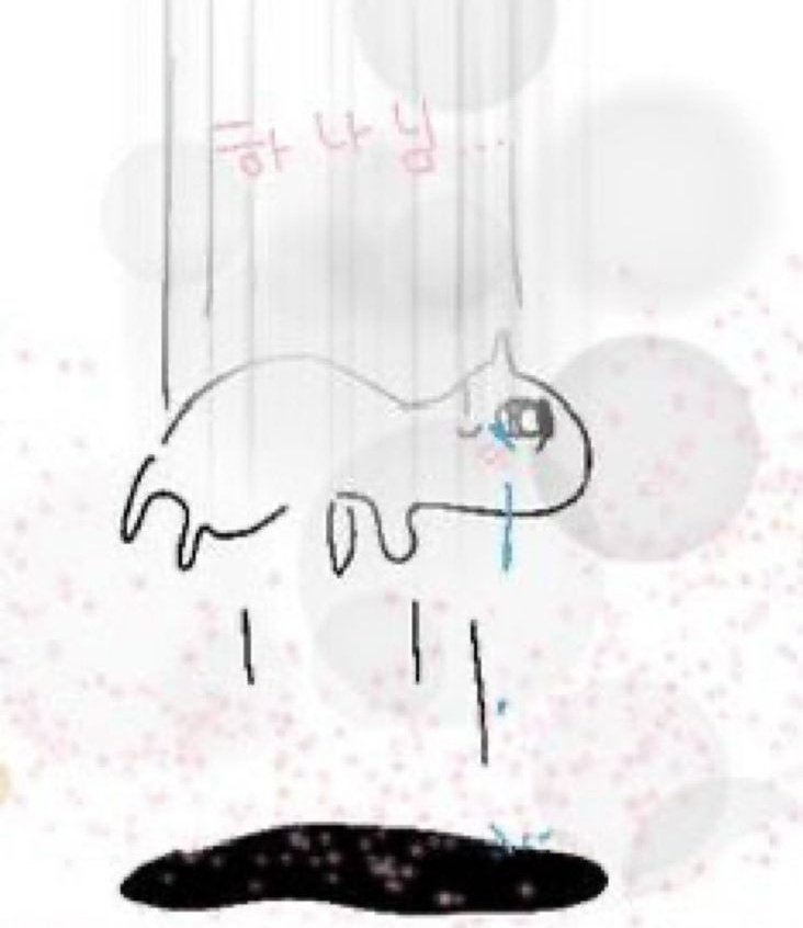 광개콩왕 tweet media