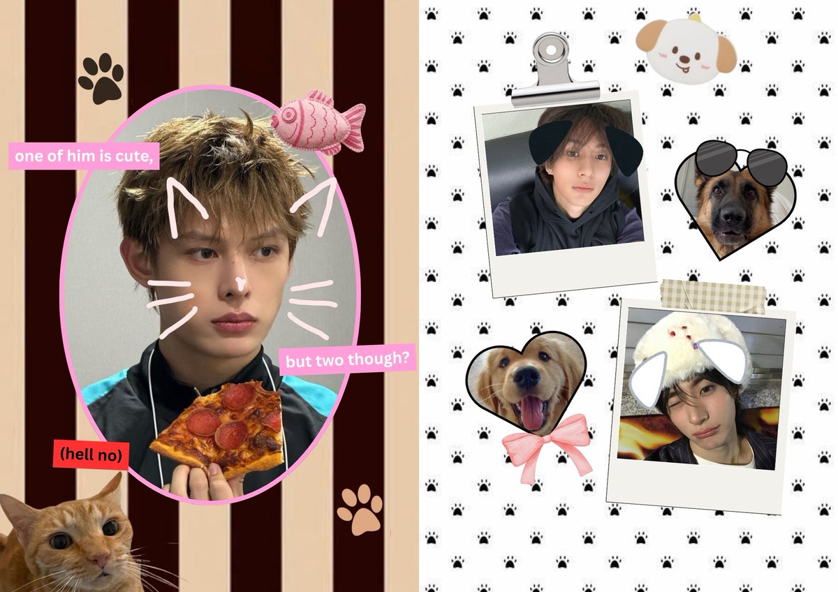 ͙͘͡★ tweet media