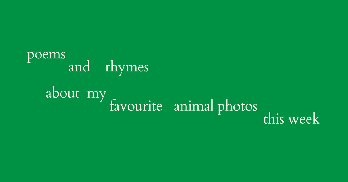 𖤓 𓄂𓆃 tweet media