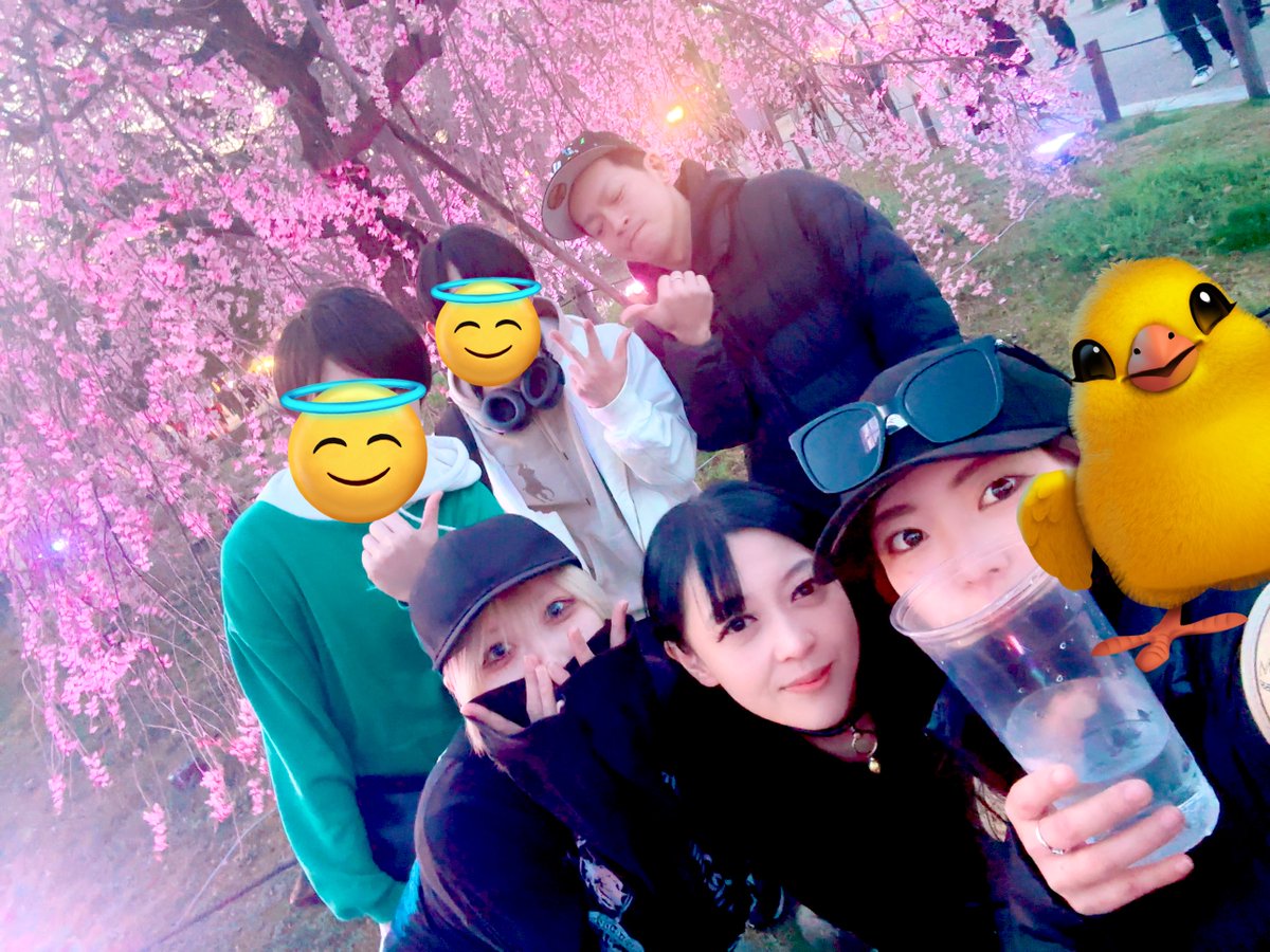 鴛之 聖 tweet media