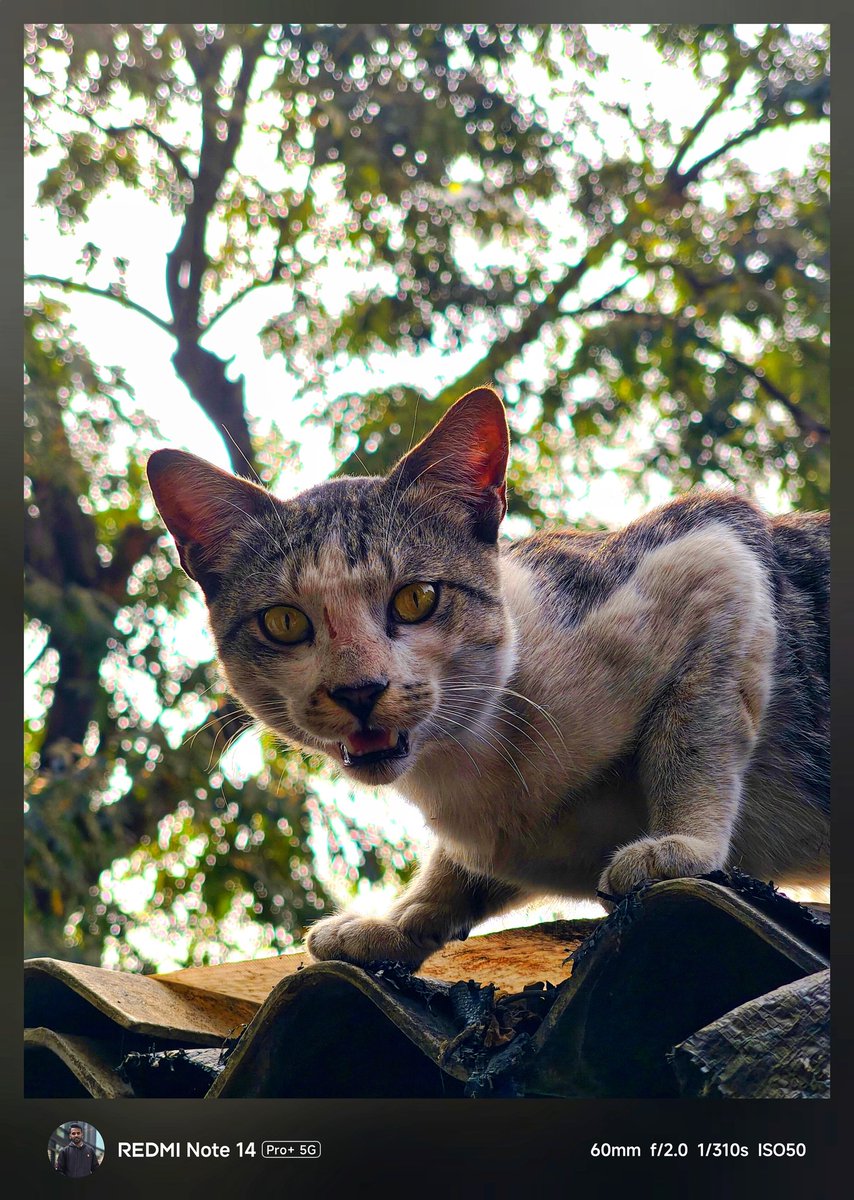 Show me a photo you took of someone looking at you.👀