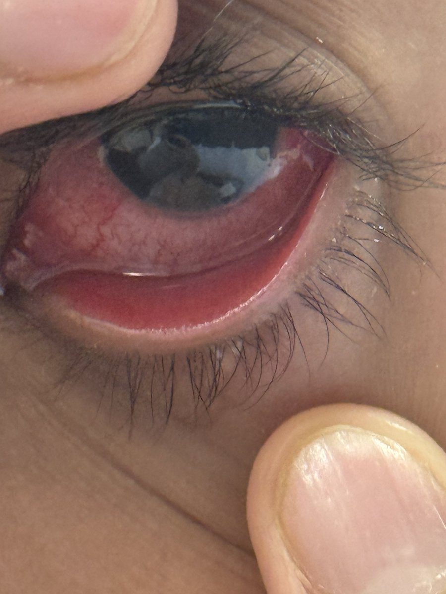 maninder singh tweet media