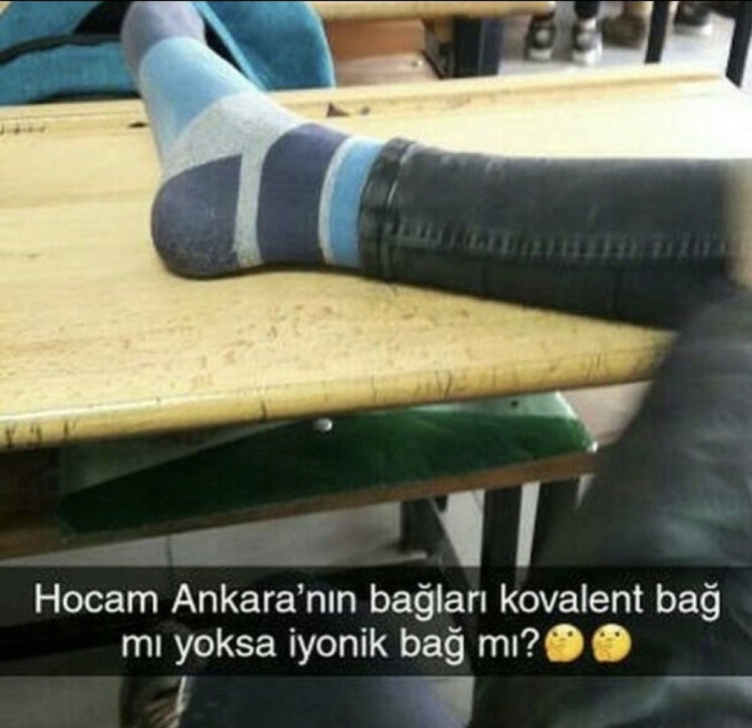 dilay ognjenovic¹⁸ tweet media