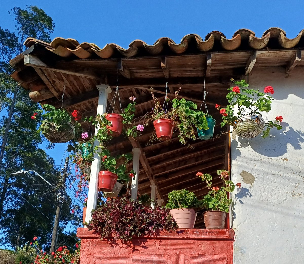 Lina María Velásquez tweet media