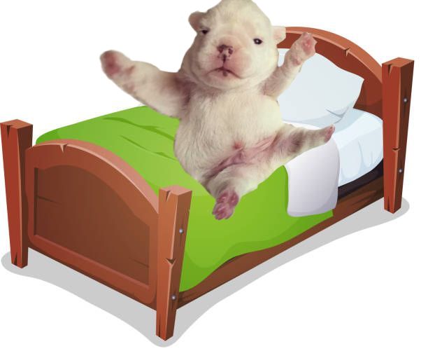 torta de frango tweet media