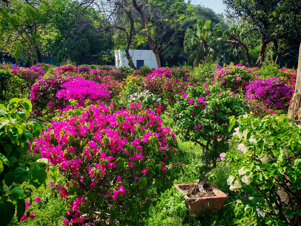 атомный хомячок tweet media