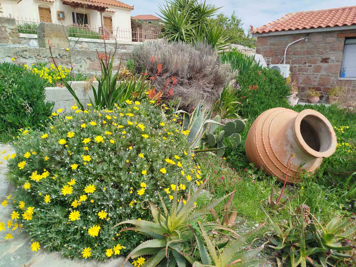 Grešni Miloje tweet media