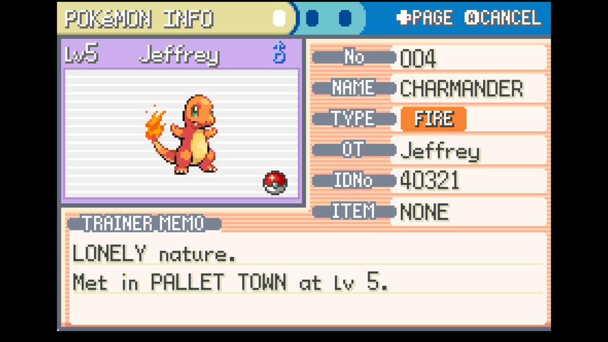 🦇CozyBat 🐇 tweet media