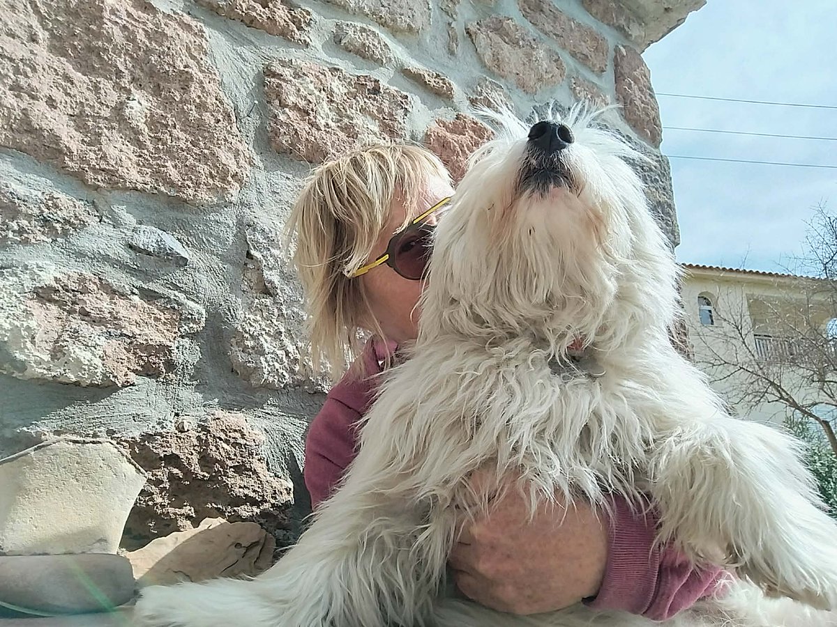 Grešni Miloje tweet media