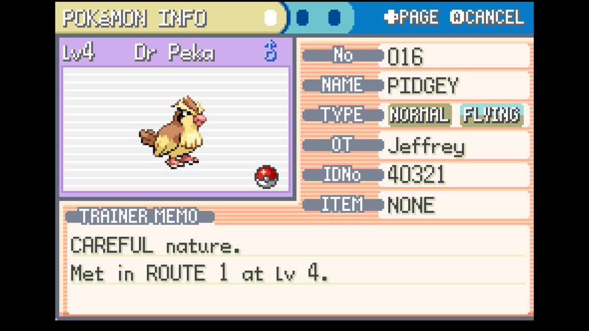 🦇CozyBat 🐇 tweet media