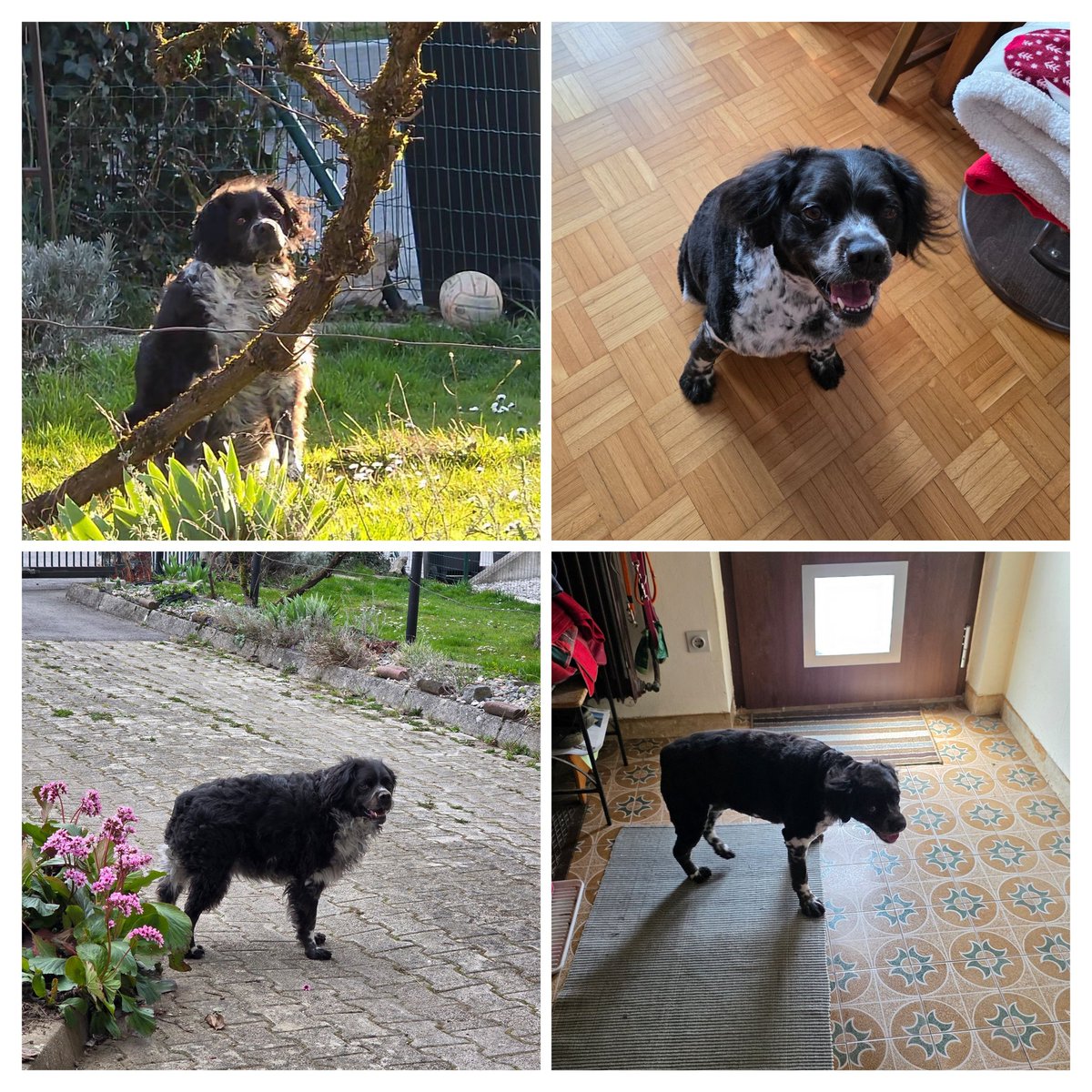 Najina je čudežno shujšala. Čang-šlang 🤣🤣🤣