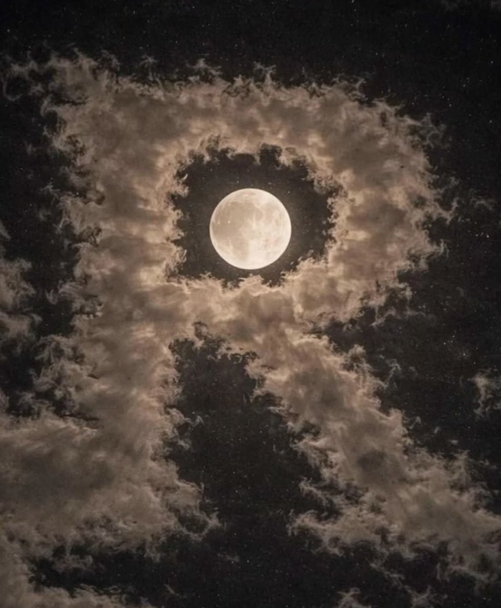 🤍 تناهيد🤍 tweet media