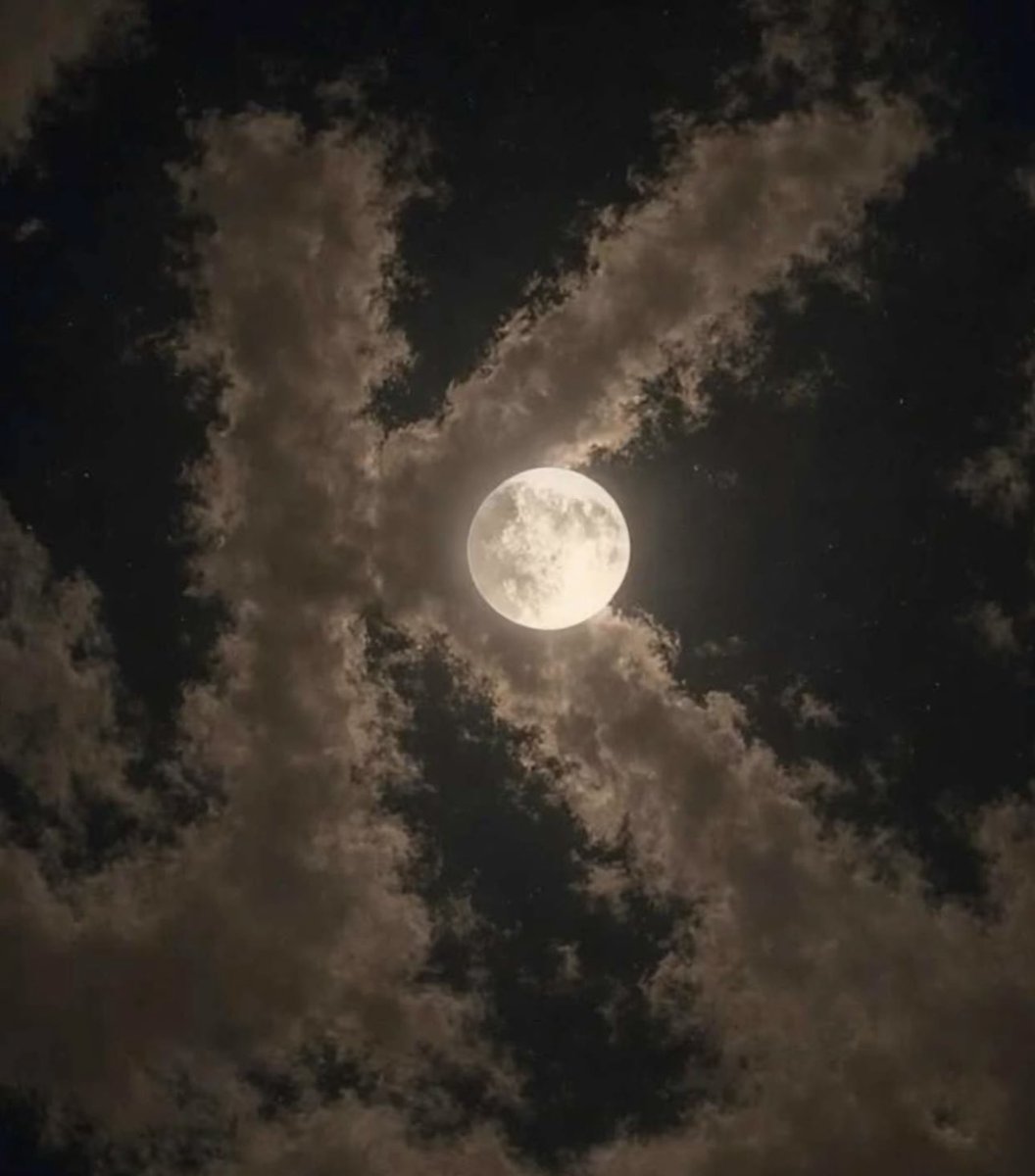 🤍 تناهيد🤍 tweet media