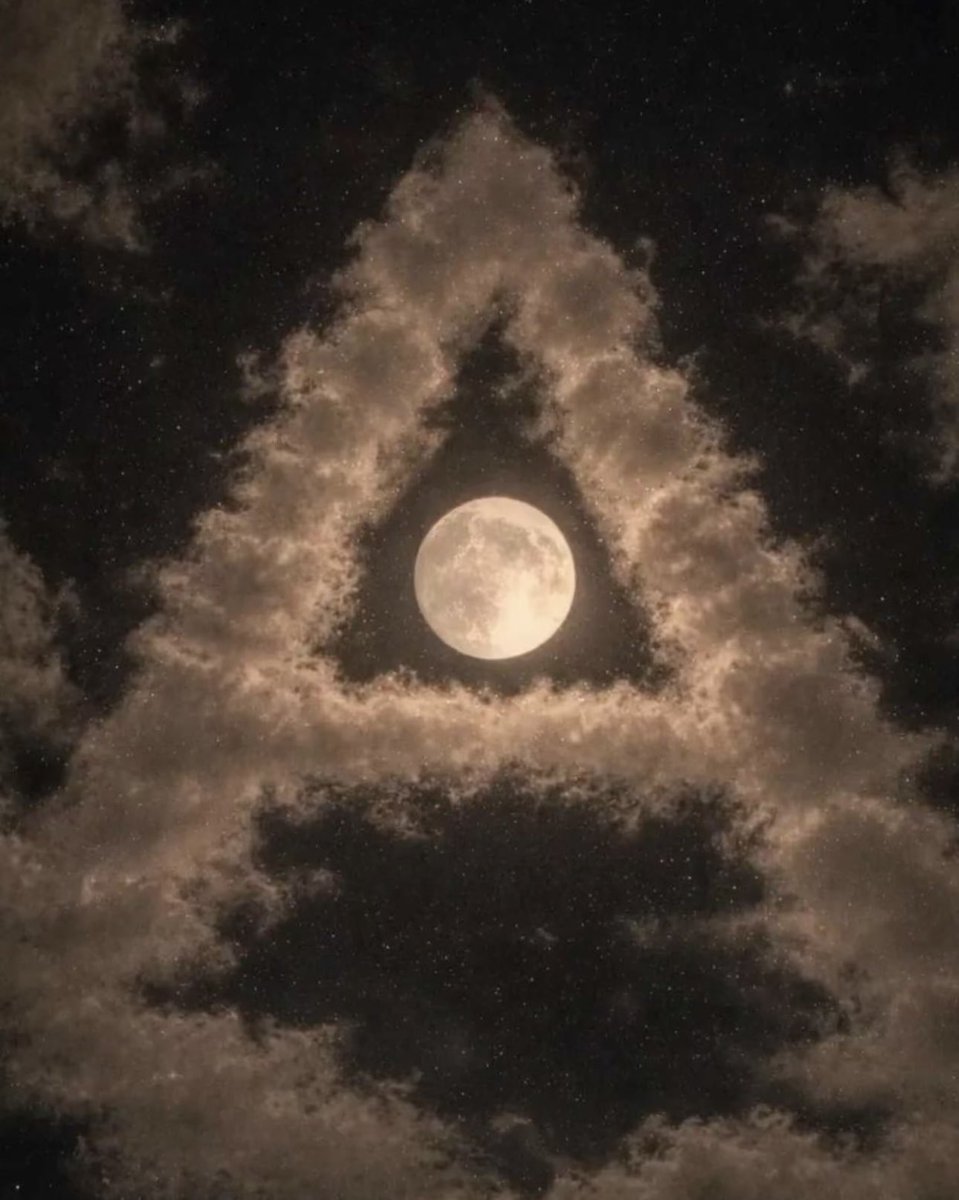 🤍 تناهيد🤍 tweet media