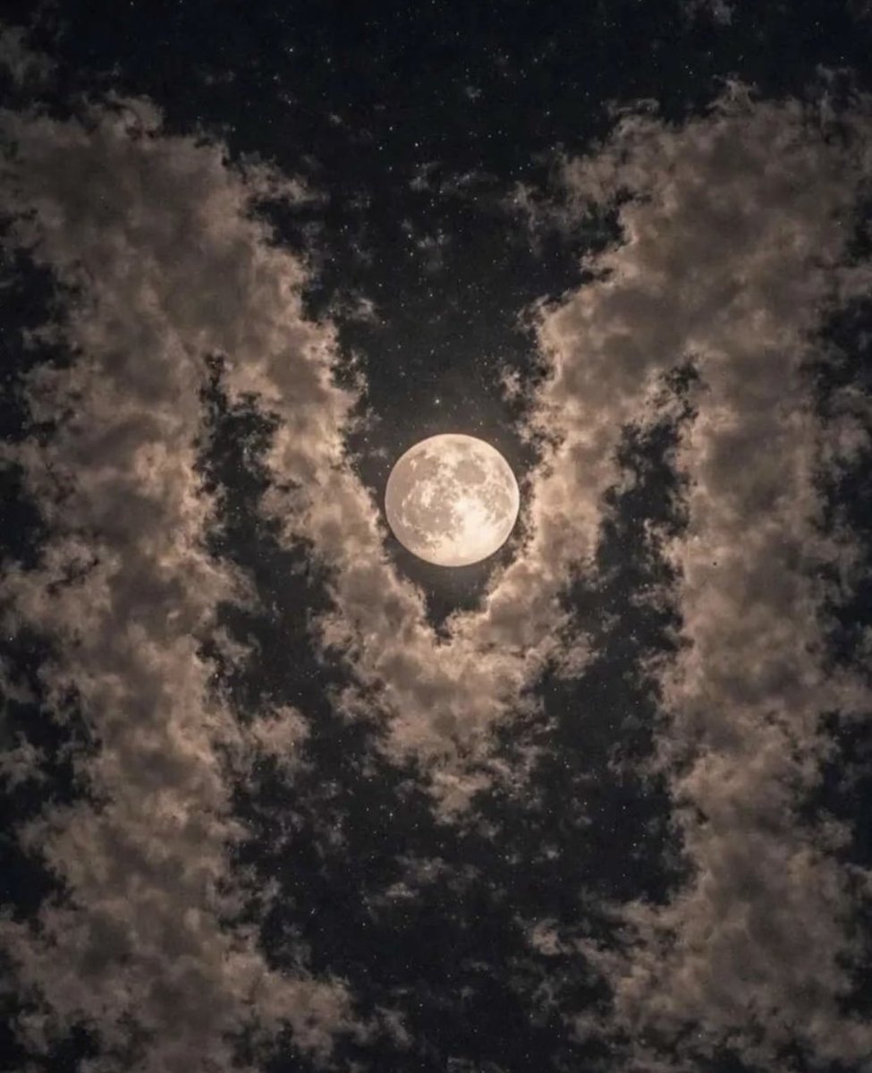 🤍 تناهيد🤍 tweet media