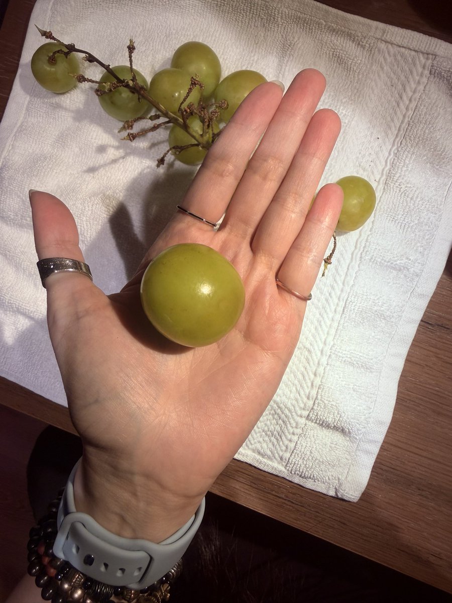 Eeiris ☄️ tweet media