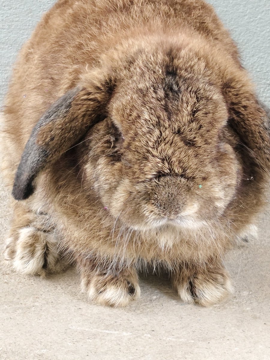 Mommy's Tรัญชน์🌵🌵 tweet media