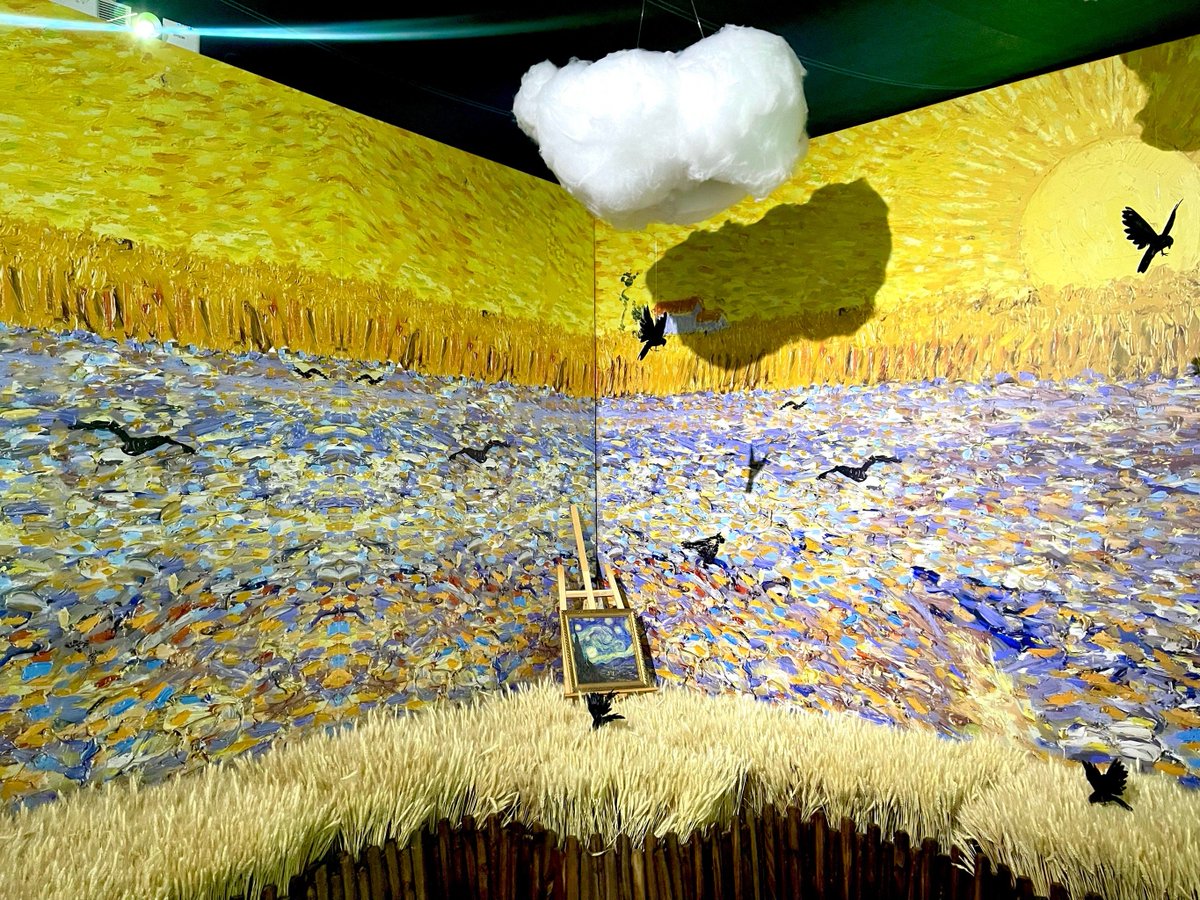 MA GUADALUPE PIÑA tweet media