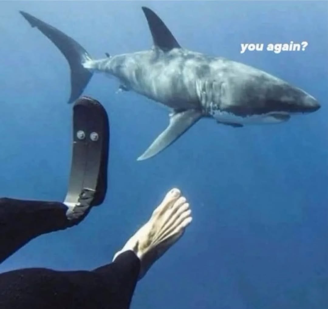 ❥ bac The Legend ︻デ═一 tweet media