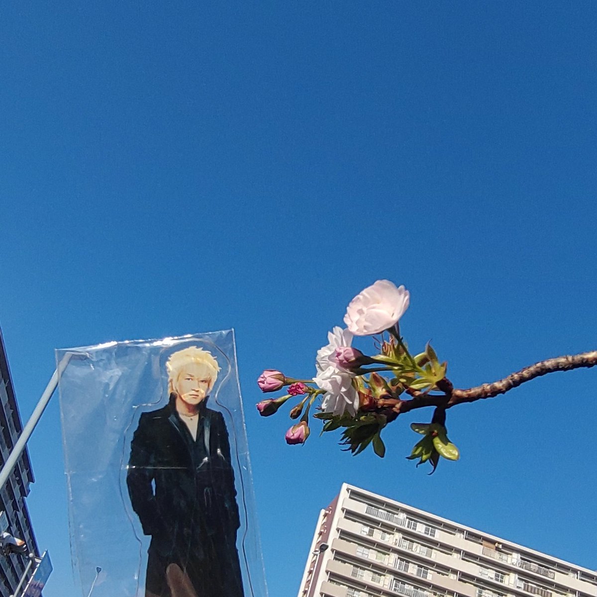 雨降四光（あめふりしこう）AMEFURISHIKOU tweet media