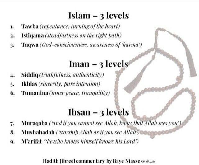 عرشي .Dr tweet media