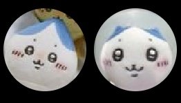 쇼니브 tweet media