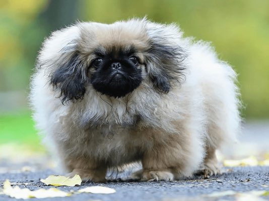 🔪 Hens 🧌 (THAT JASON GUY) | psych ward award tweet media