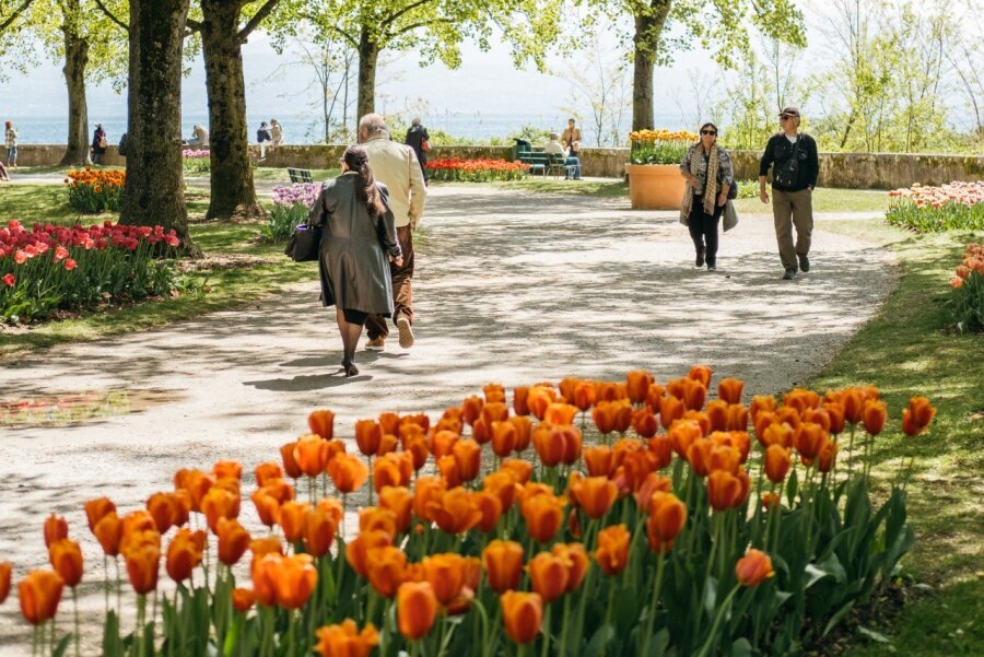 Ville de Morges tweet media