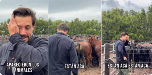 Vengador Recargado tweet media