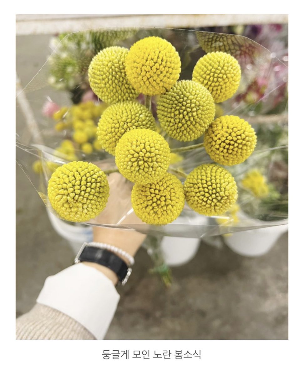 -이끌림-

애써 문을 두드리지 않아도
낮은 담장을 넘는 별처럼
와 닿는 마음이 있더라

세련된 말솜씨나
매끄러운 문장들로는 
결코 흉내 낼 수 없는
영혼의 문턱이 있음을

계산 없는  그늘 아래서
꾸밈 없는 생의 무늬들이
깊게 배어드는 순간들이

애써 이유를 묻지 않아도 
스치듯 나눈 눈빛