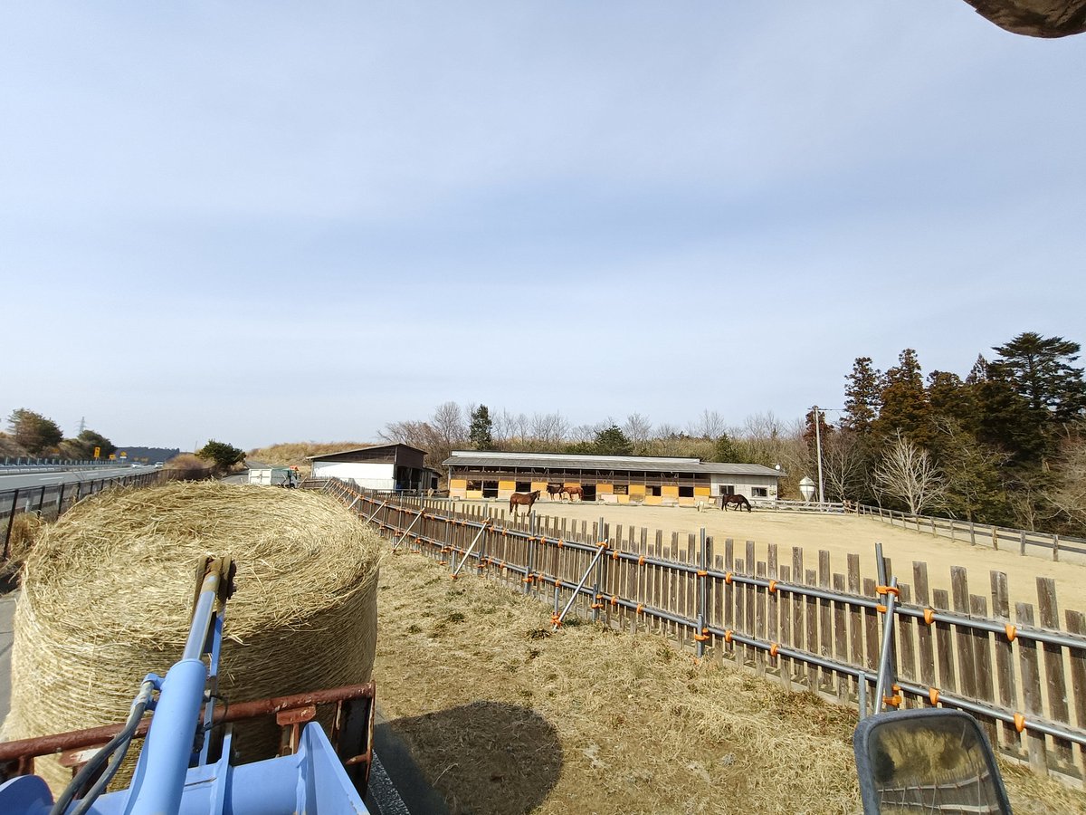 厩舎みちくさ 南相馬市小高区 tweet media