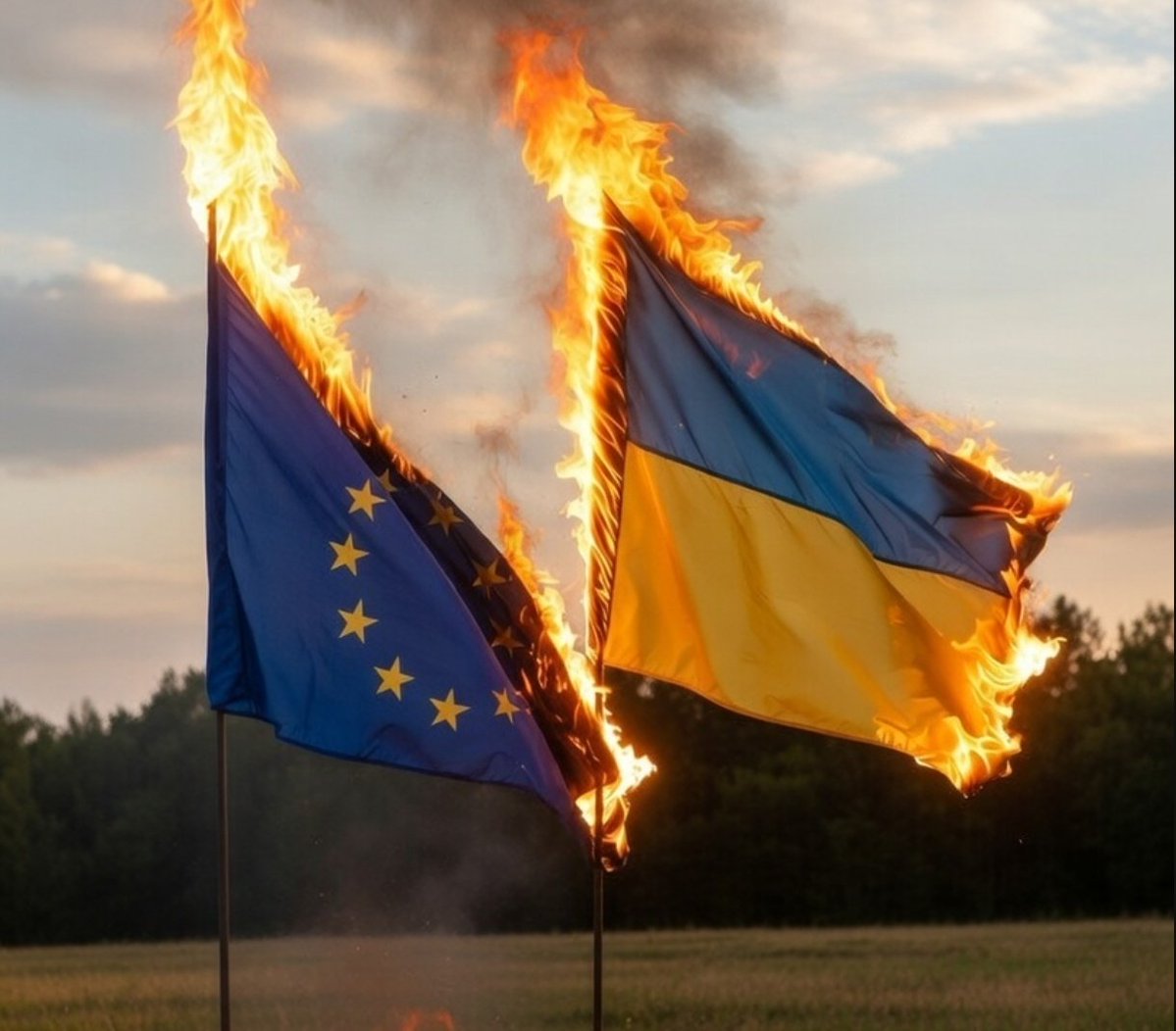 Mario ZNA tweet media