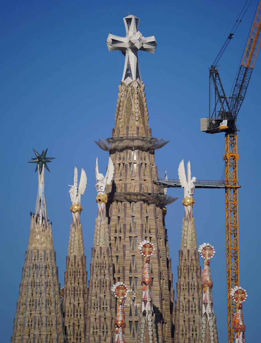 David Ilnitsky tweet media