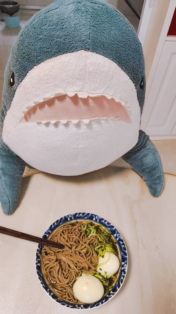 サメのメシ tweet media