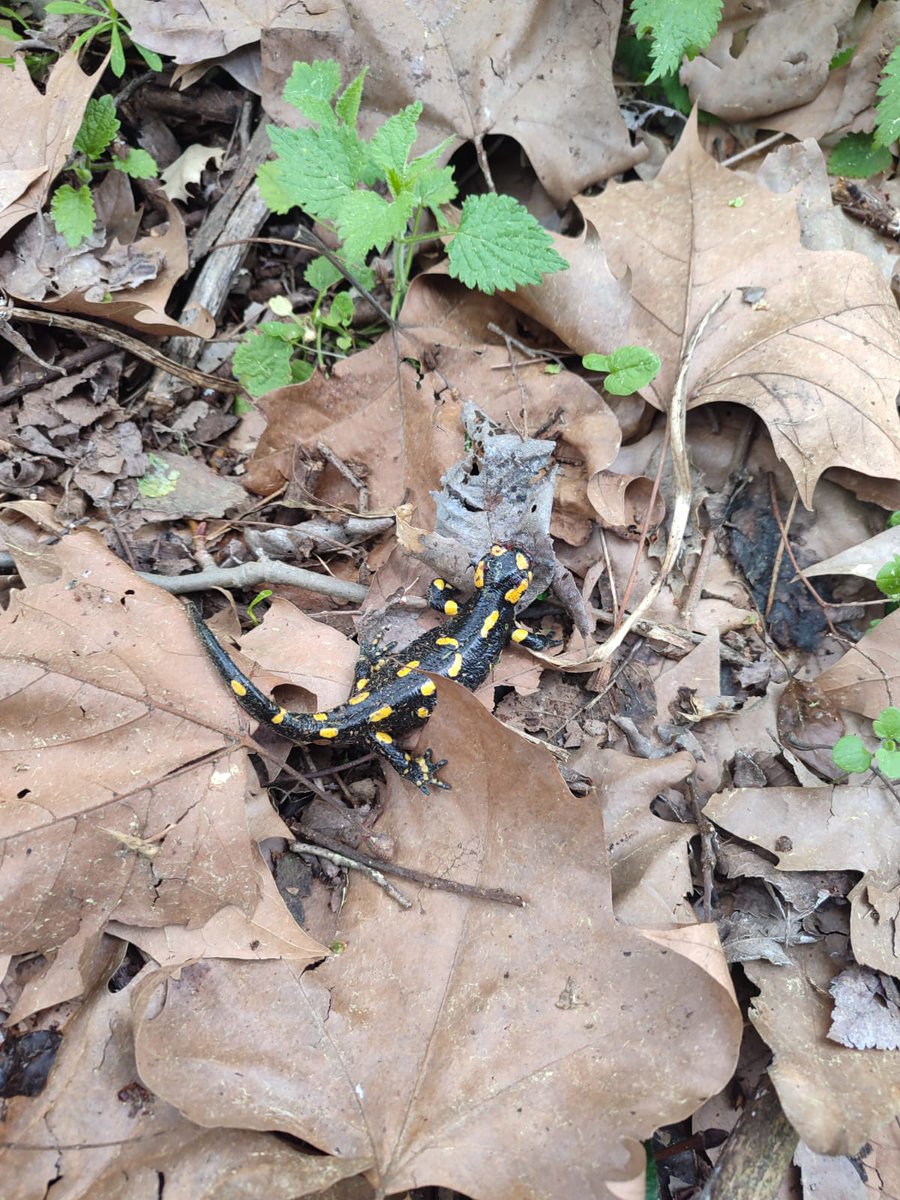 SOLLAGUA - Interreg SUDOE tweet media