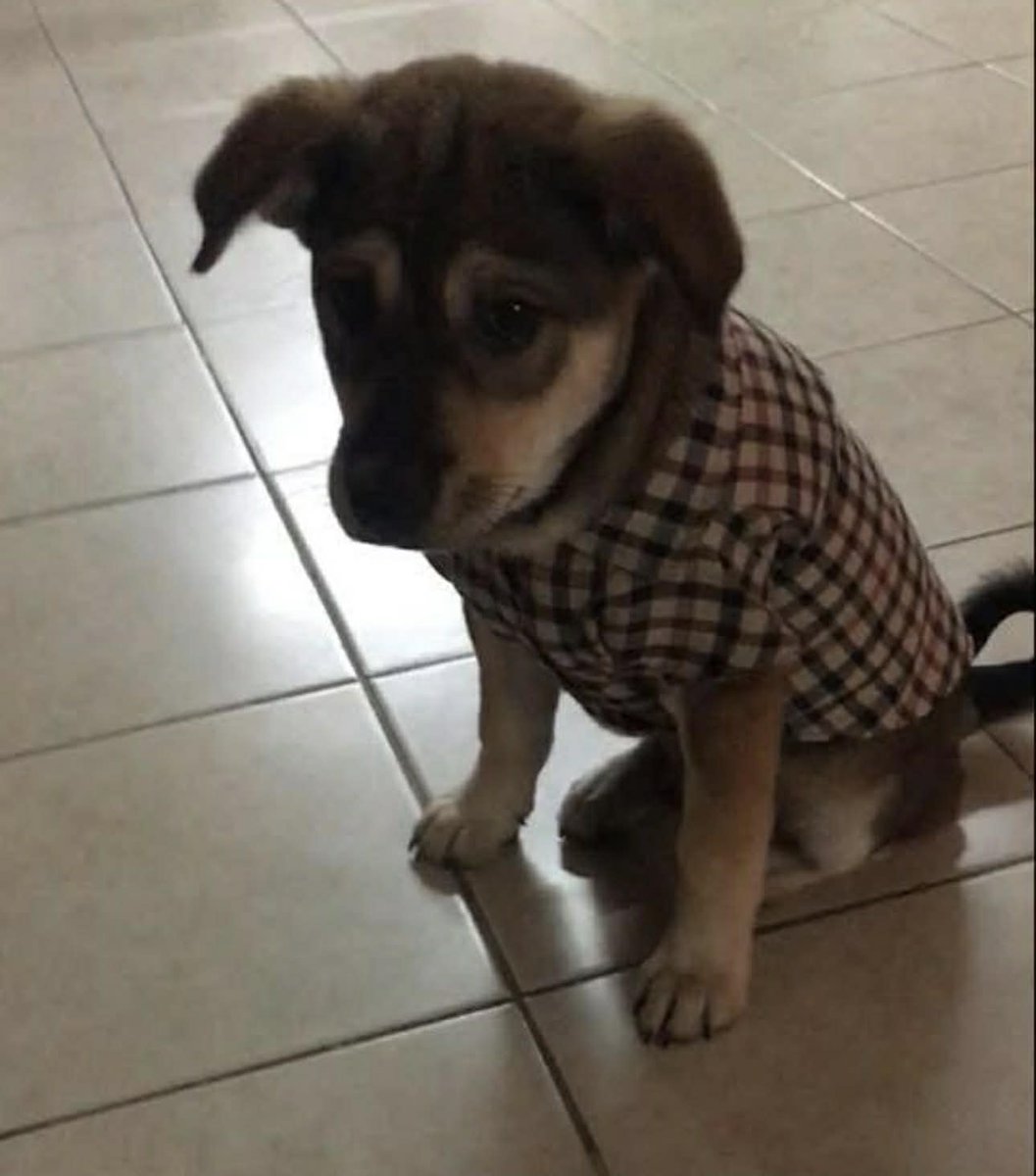 HaTa はた tweet media