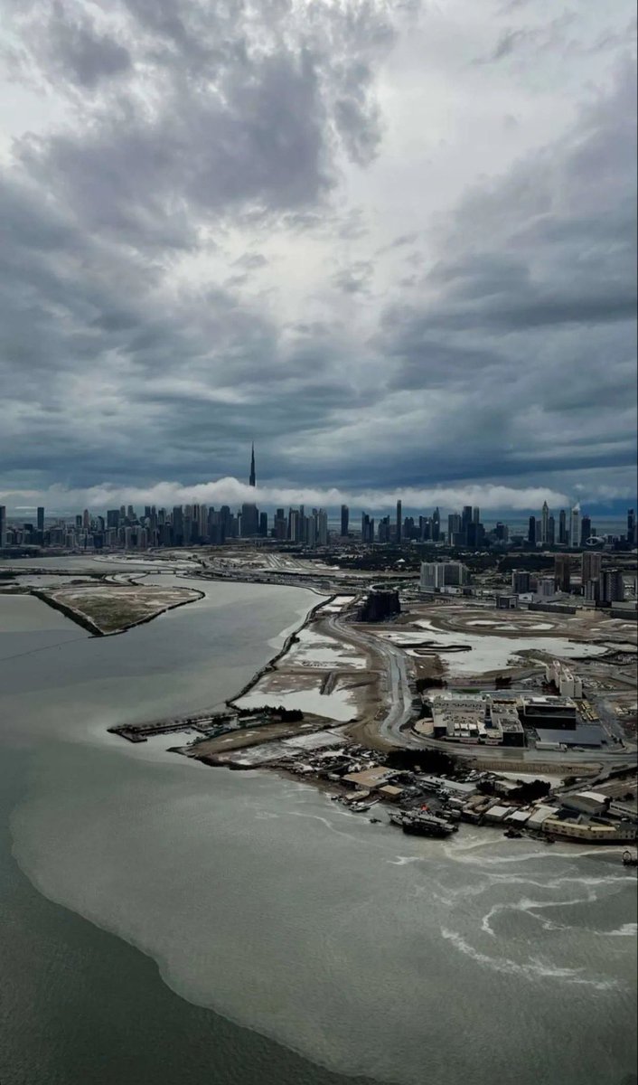 مخلاب🇦🇪⚔️ tweet media